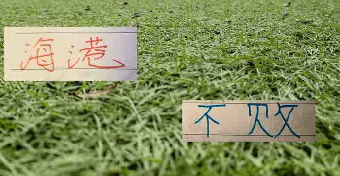 8场不败的海港！下周末迎战浙江 还能延续旺盛的势头吗？